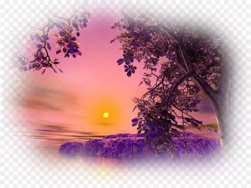 �����ֽ������Ӱ-������������-������