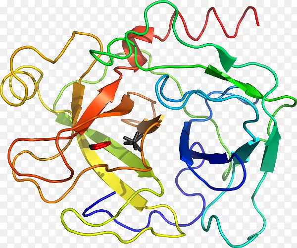 �ߵ������������-������