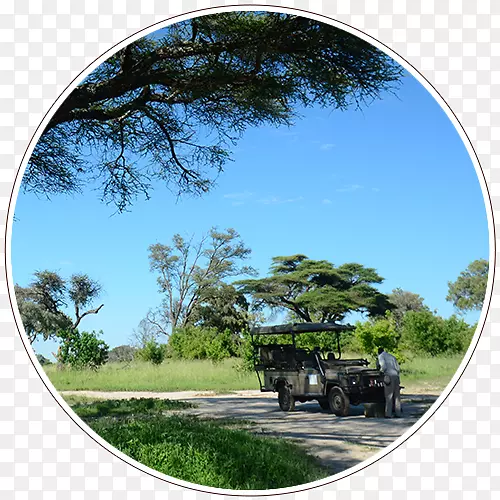 ���ױ��ǲ��������Ϸ���ű����-������