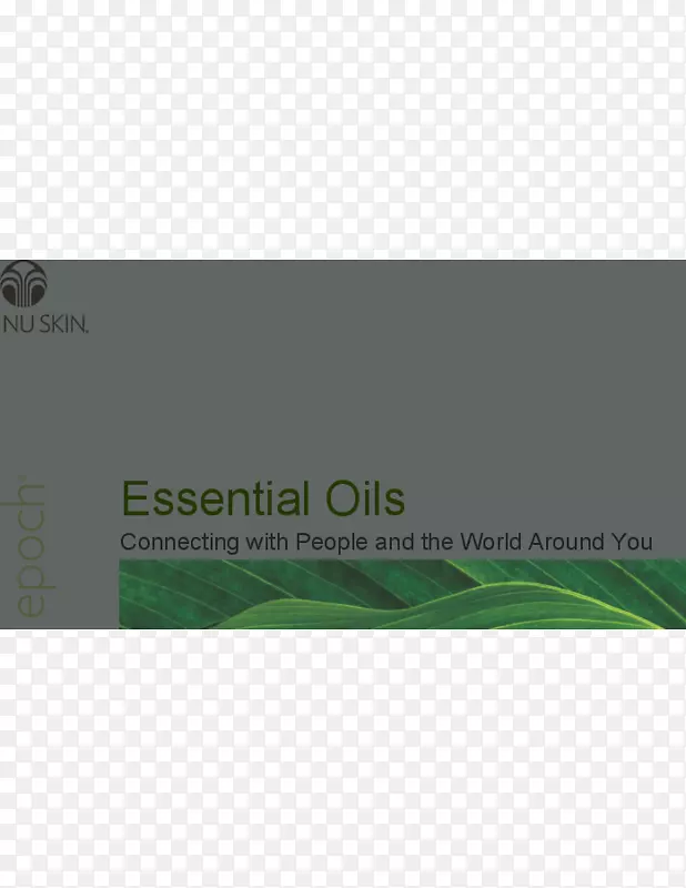 Ʒ���������-������