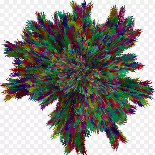 Ҷ�Գ�-������