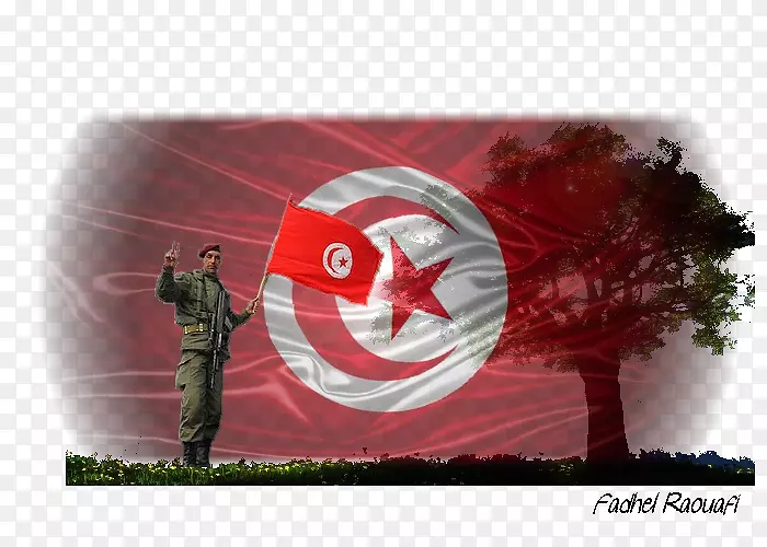 �����ֽ��Ӱ����Ʒ�Ƶ���-������