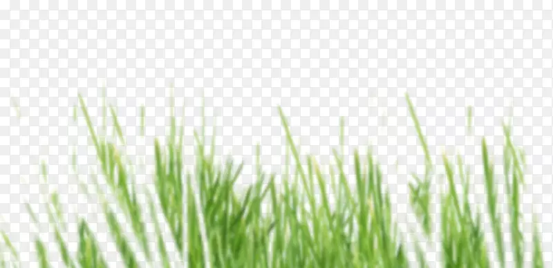 ��ƺ������л�ʳƷ��Ʒ��-������