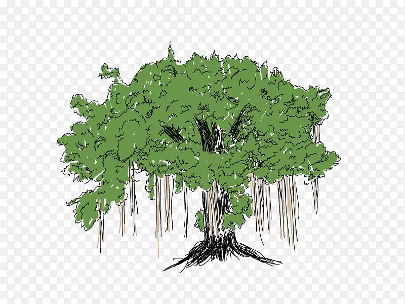 Ҷ�������ݱ�ֲ���-��-������