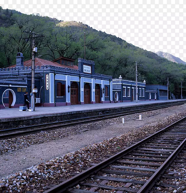 ��·�����г��������-ɭ�ֹ�·-������