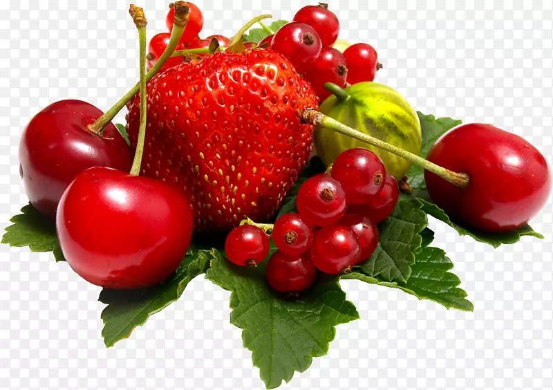 ��ݮ��������Բ�ܹ���ݮ-������