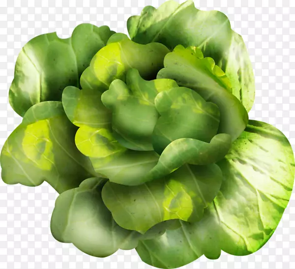 ���ˡ�ʮ�ֻ����߲ˡ���ʳ�����ˡ�����-������