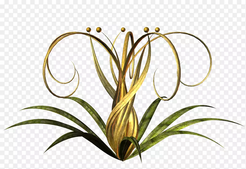 ������ƻ��껨��-������