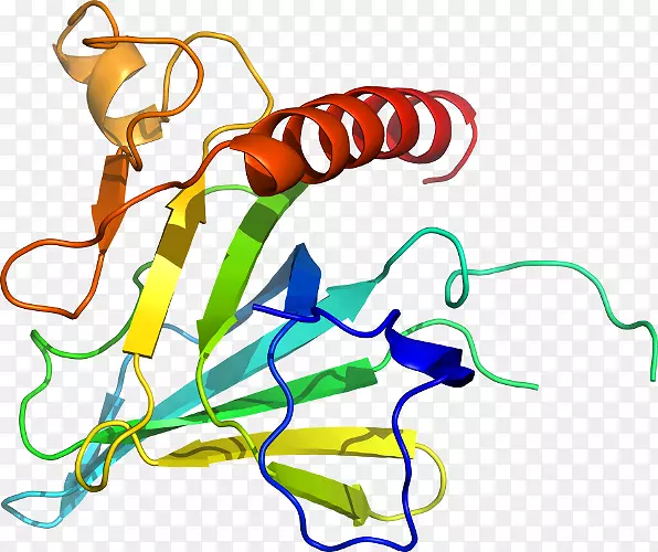 �ߵ������������-������