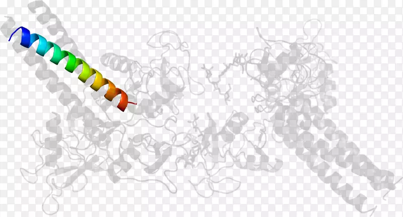 ֱ�ߵ���-������