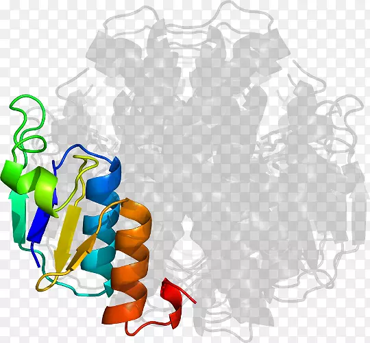 ���������-������