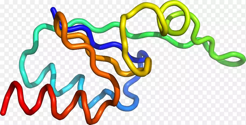 �����߶����������-������