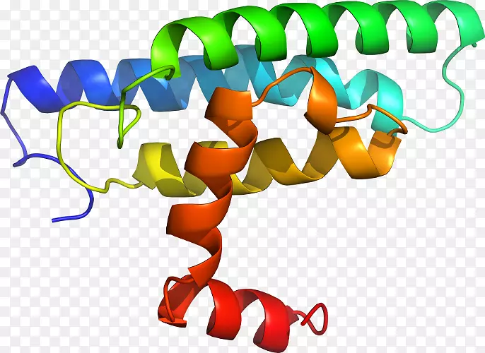 �����߶����������-������