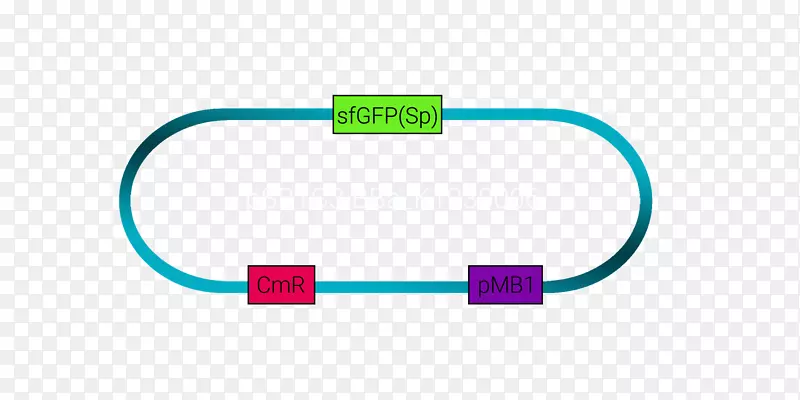 �����������-������