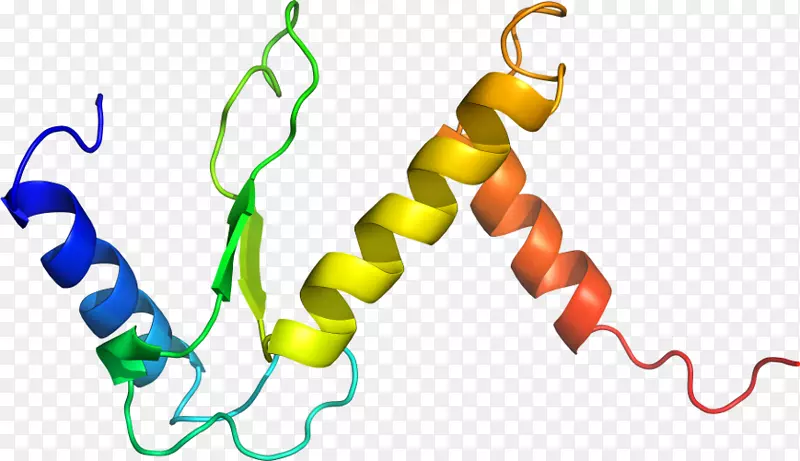 �ߵ������������-������