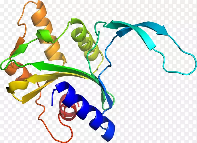 �����߶����������-������