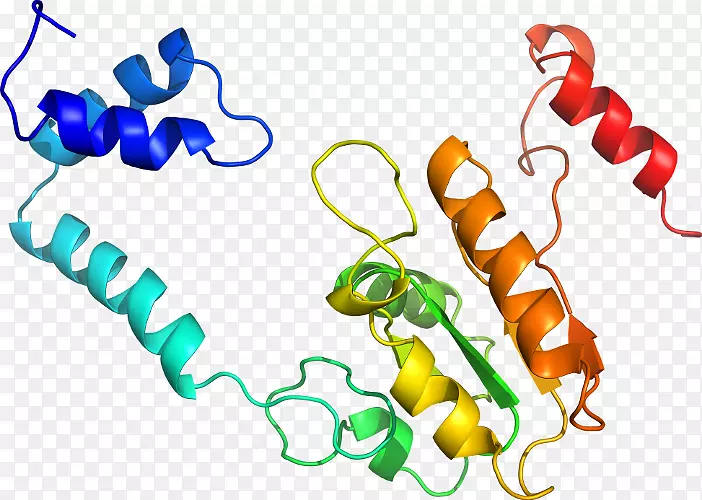 �����߶����������-������