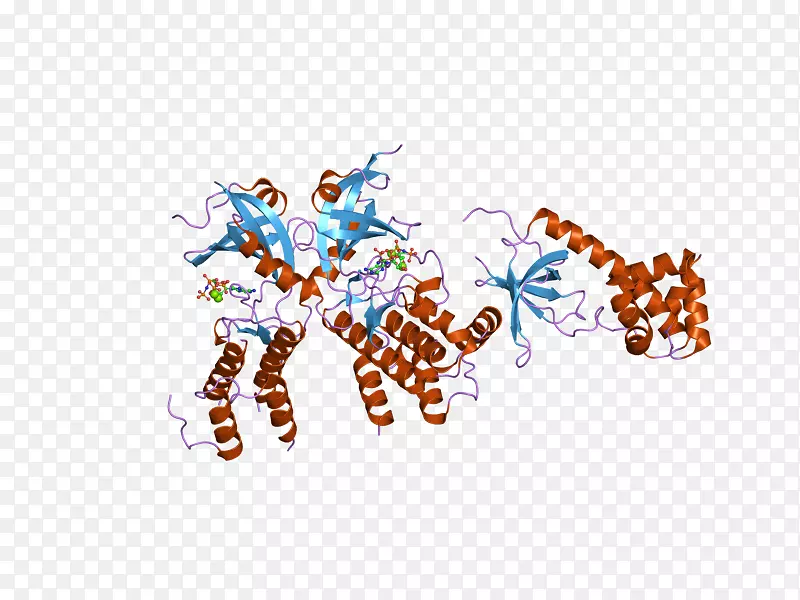 ֱ�������ֽ���������-������