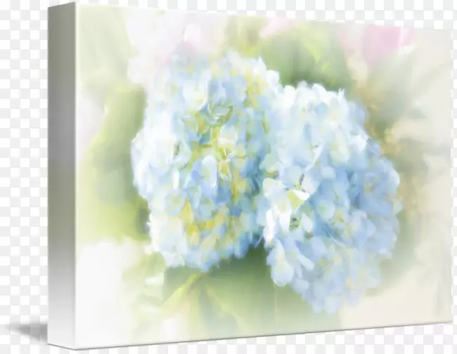 ��������л�����-������