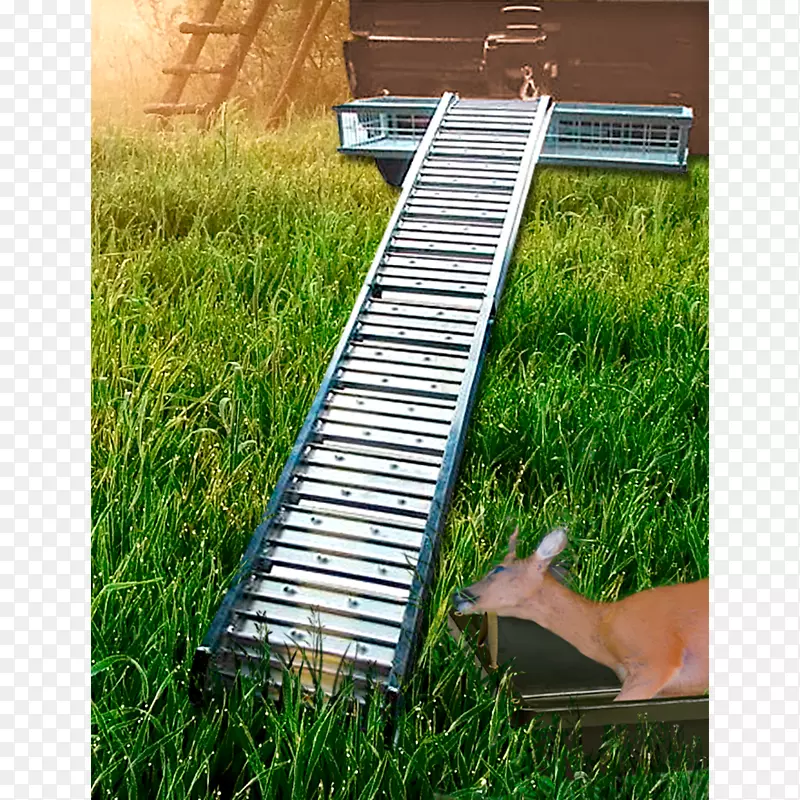 ����ƺ�ǲݽ�-������