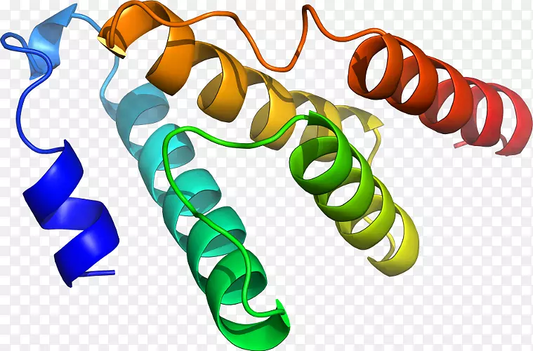 ʳƷ����Ь�߼�������-������