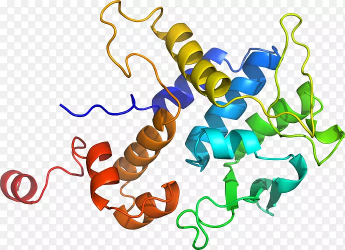 ֱ�ߵ����ﶯ���������-������