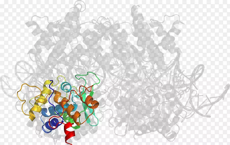 �����鱦��������-������