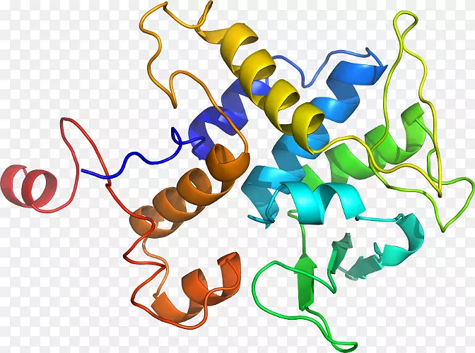 �ߵ������������-������