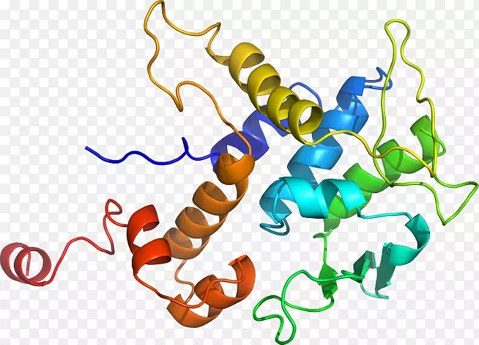 �����߶����������-������