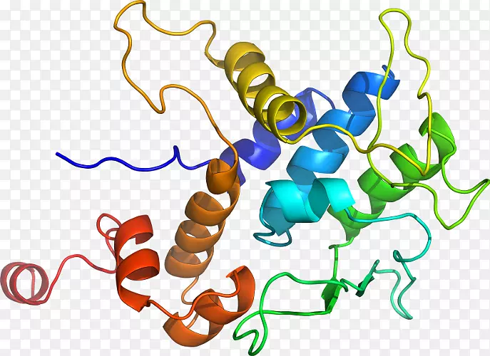 ������Ϊ�л����ߵ��������-������