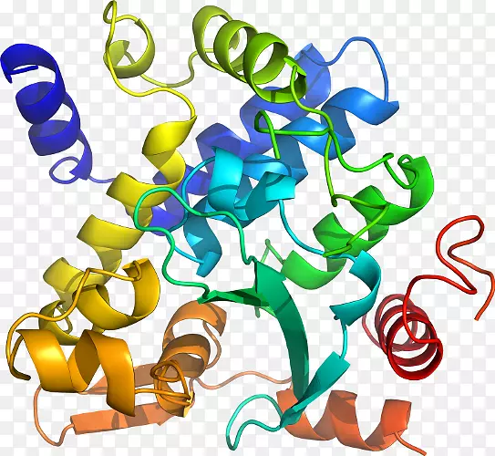 �����߶����������-������