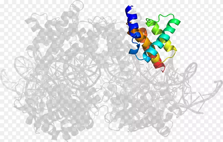 ƽ�����-���-������