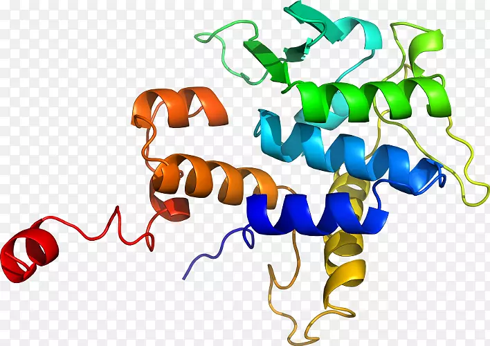 �����߶����������-������