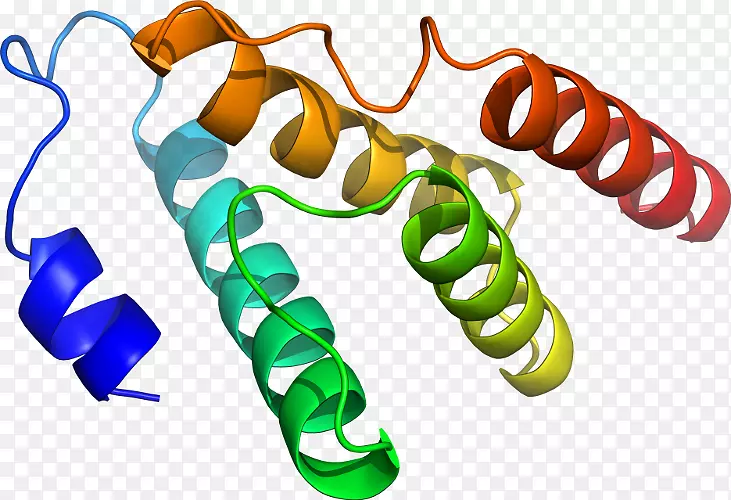 �����鱦������.���-������