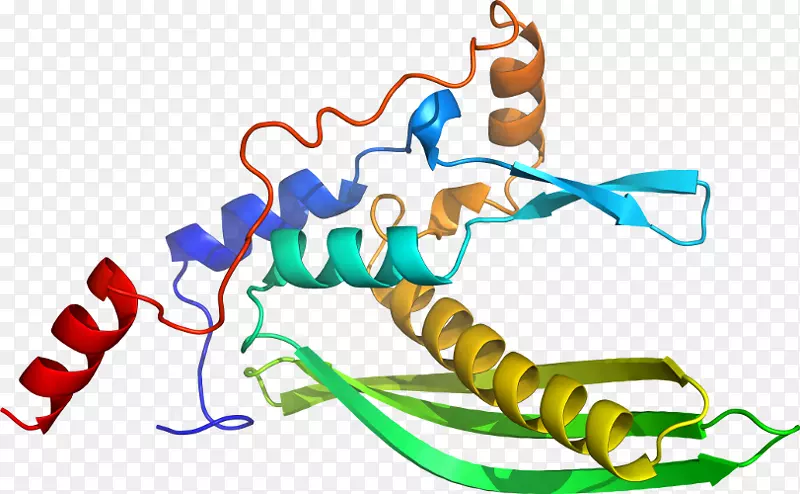 �����߶����������-������