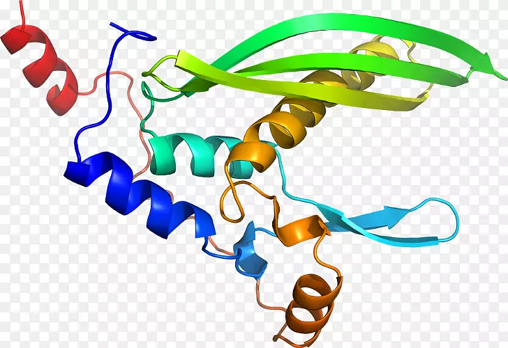 ���������л����߼�������-������