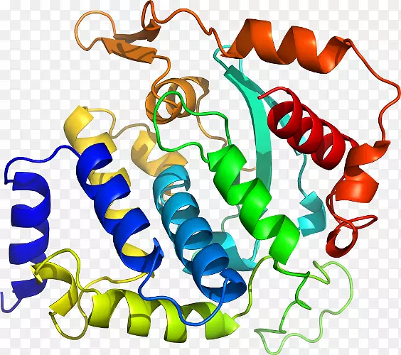 ���������л����߼�������-������