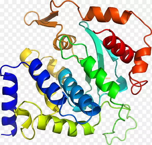 ���������л����߼�������-������