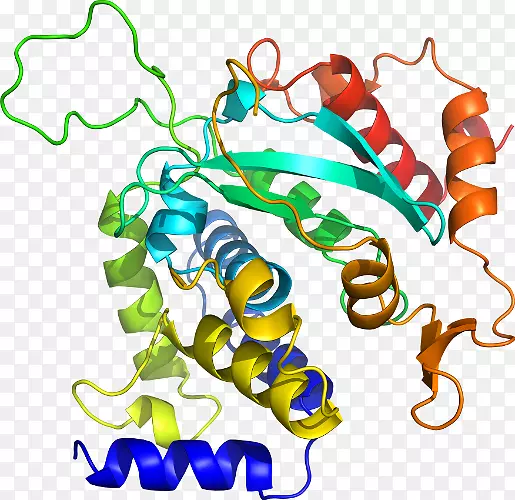 ���������л����߼�������-������