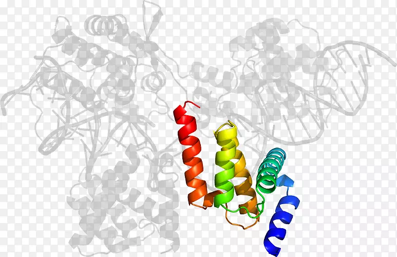 �л�����������-������