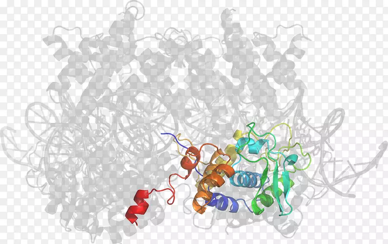 �����鱦�л���-�鱦-������