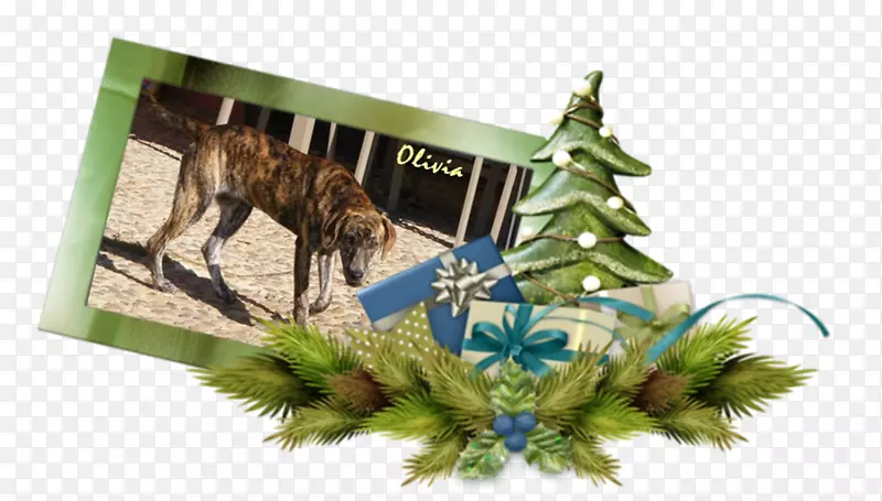 ˮ�ʻ���ͨ��ɫ-������-������