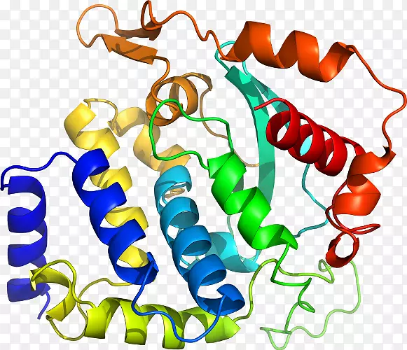 ���������л����߼�������-������