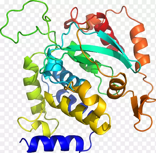 ���������л����߼�������-������