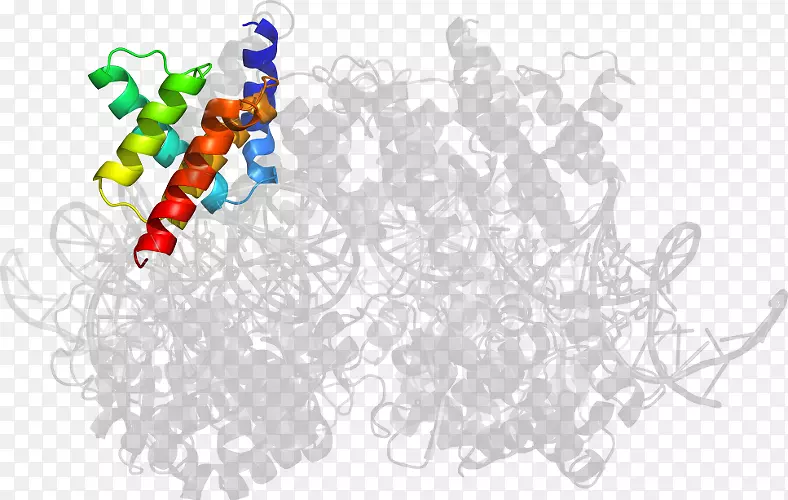 ��ľ������-��-������