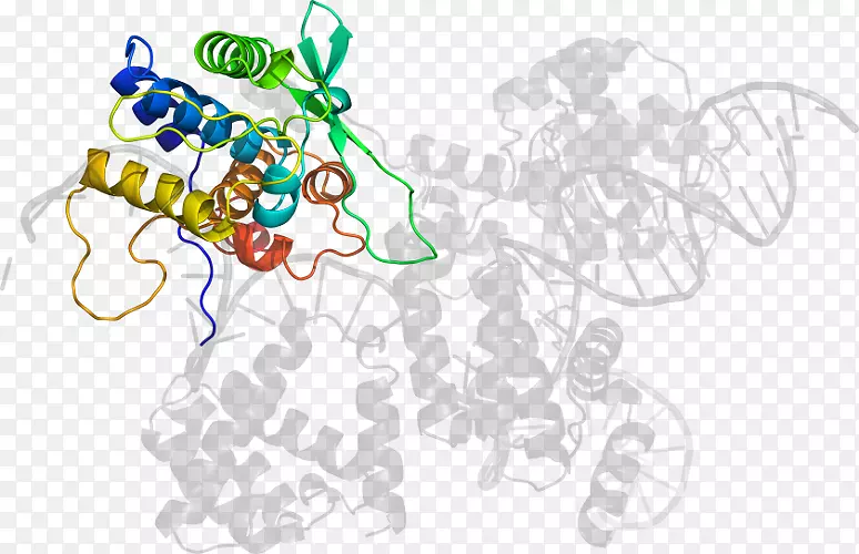 ƽ�������������������-������