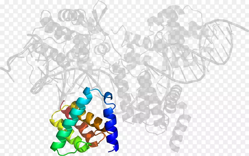 ���߼�����-��-������