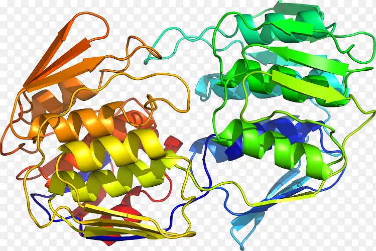 �Ӿ������߲�ʳƷ������-�߲�-������