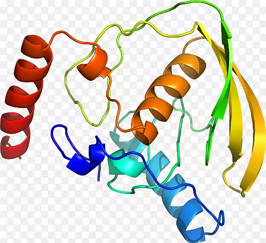 ���������л����߼�������-������