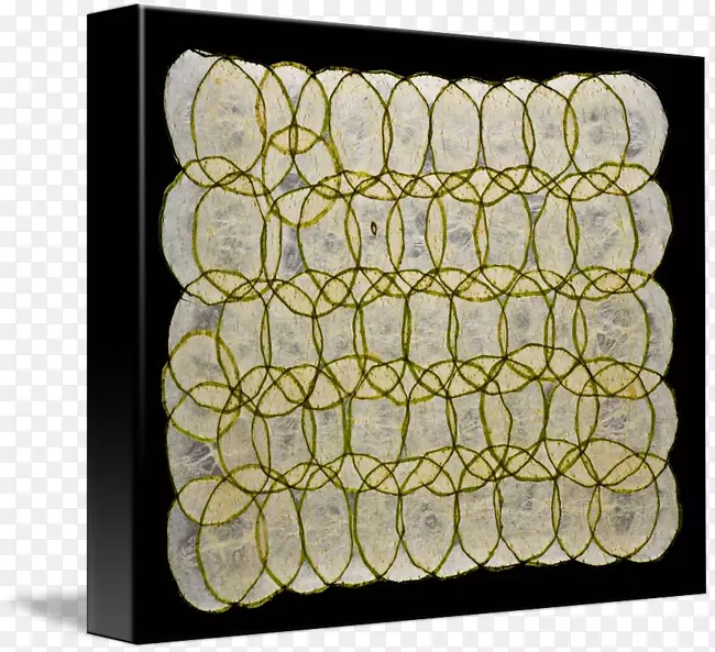 ԲȦ-������